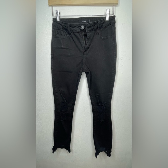 Cello Denim - Cello Junior’s Black Jeans Distressed & Ripped w/ Pockets